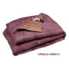 Cipolla UP04/14